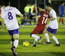 爱游戏-包含柔道联赛焦点战：岭南迅豹队翻盘吴越巨龙队，外线火力全开。中场绞杀压制对手的词条